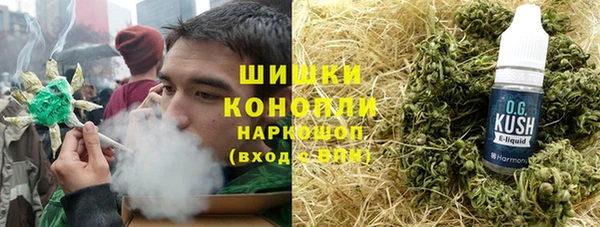 винт Абаза