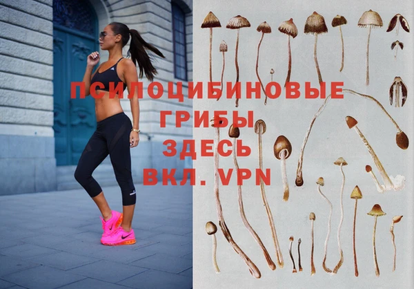 спайс Абинск